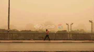 الأرصاد تحذر من نشاط الرياح وتدني مستويات الرؤية الأفقية في أغلب المناطق